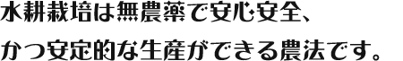 水耕栽培は無農薬で安心安全、かつ安定的な生産ができる農法です。