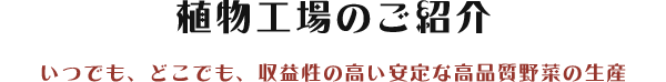 植物工場のご紹介 いつでも、どこでも、収益性の高い安定な高品質野菜の生産
