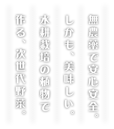 無農薬で安心安全。しかも、美味しい。水耕栽培の植物で作る、次世代野菜。