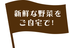 新鮮な野菜をご自宅で！