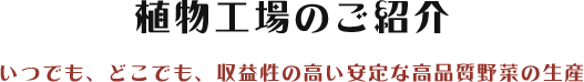 植物工場のご紹介 いつでも、どこでも、収益性の高い安定な高品質野菜の生産