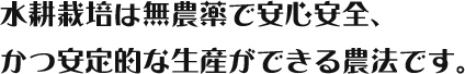 水耕栽培は無農薬で安心安全、かつ安定的な生産ができる農法です。