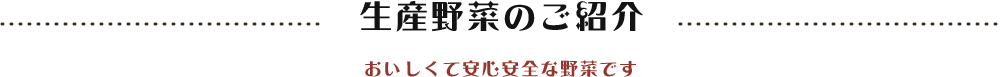 生産野菜のご紹介 おいしくて安心安全な野菜です